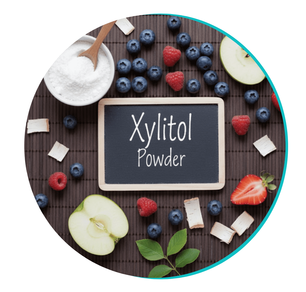 Xylitol Powder